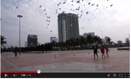 Happy in Danang tại Đà Nẵng Happy in Danang - Ngũ Hành Sơn trong video