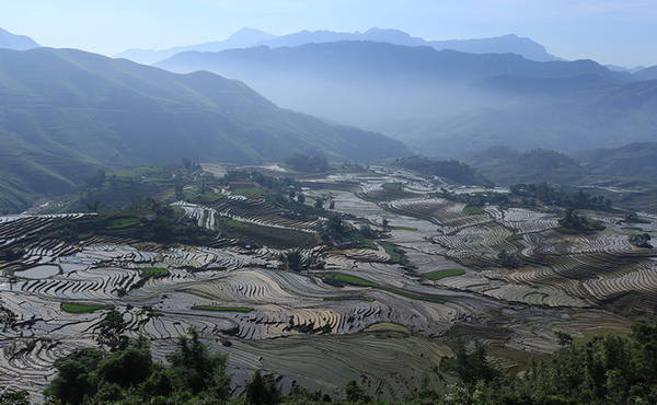 Toàn cảnh ruộng bậc thang xã Tả Phìn Sa Pa mùa nước đổ