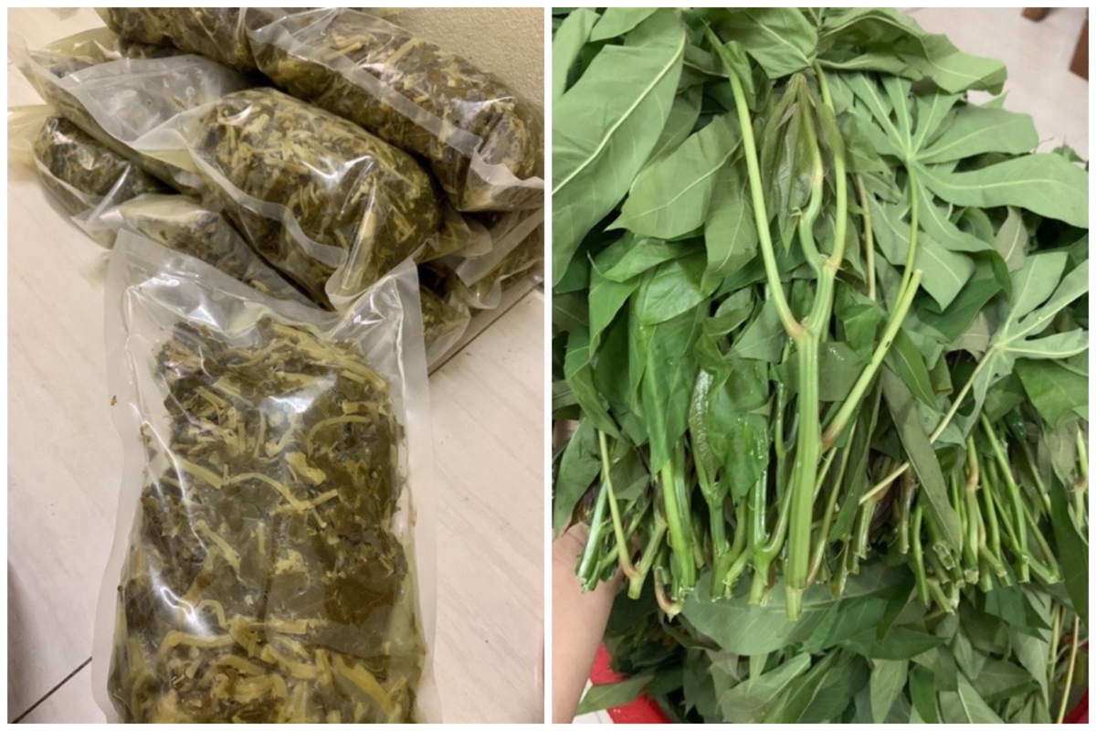 Rau sắn món ăn Phú Thọ Rau sắn món ăn Phú Thọ