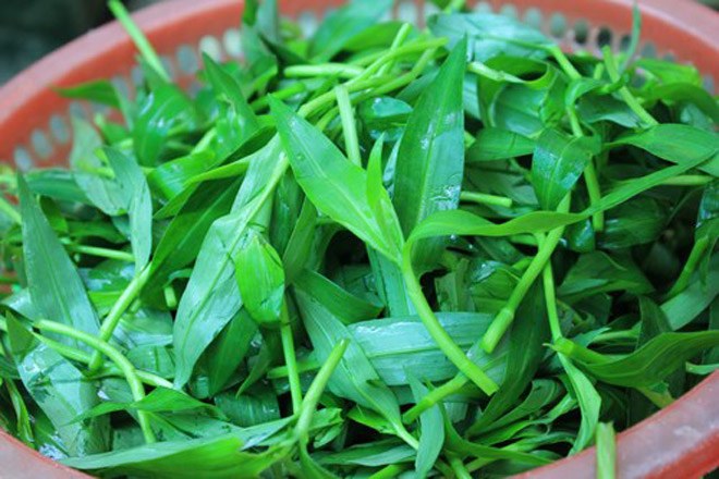 Rau trai miền Tây mọc hoang