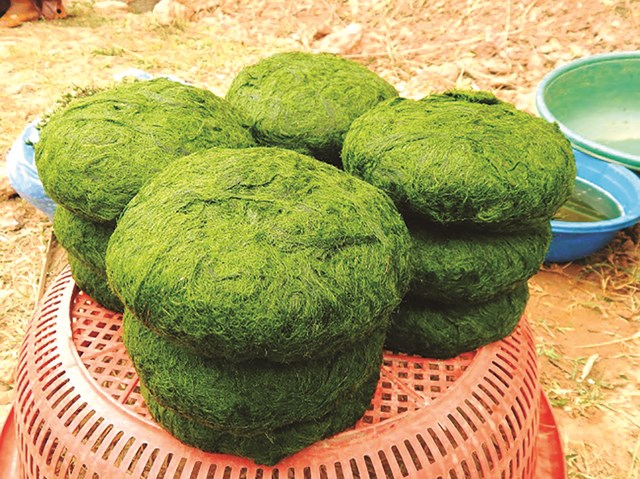 Rêu suối đặc sản Sơn La