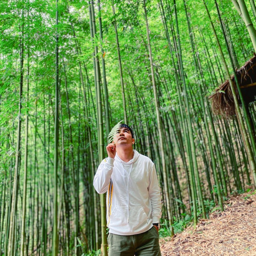 Không gian rừng trúc xanh mướt tour Tây Bắc