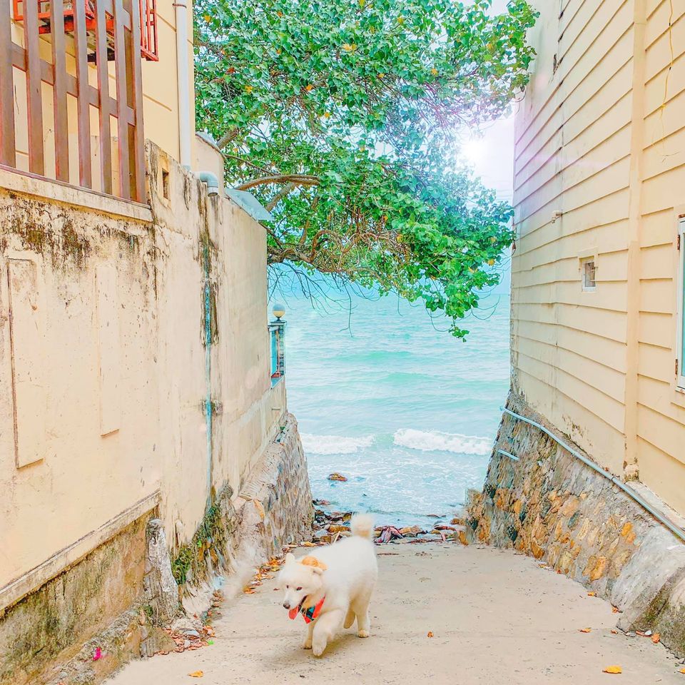 Hình ảnh: Cồ ơi lên xe