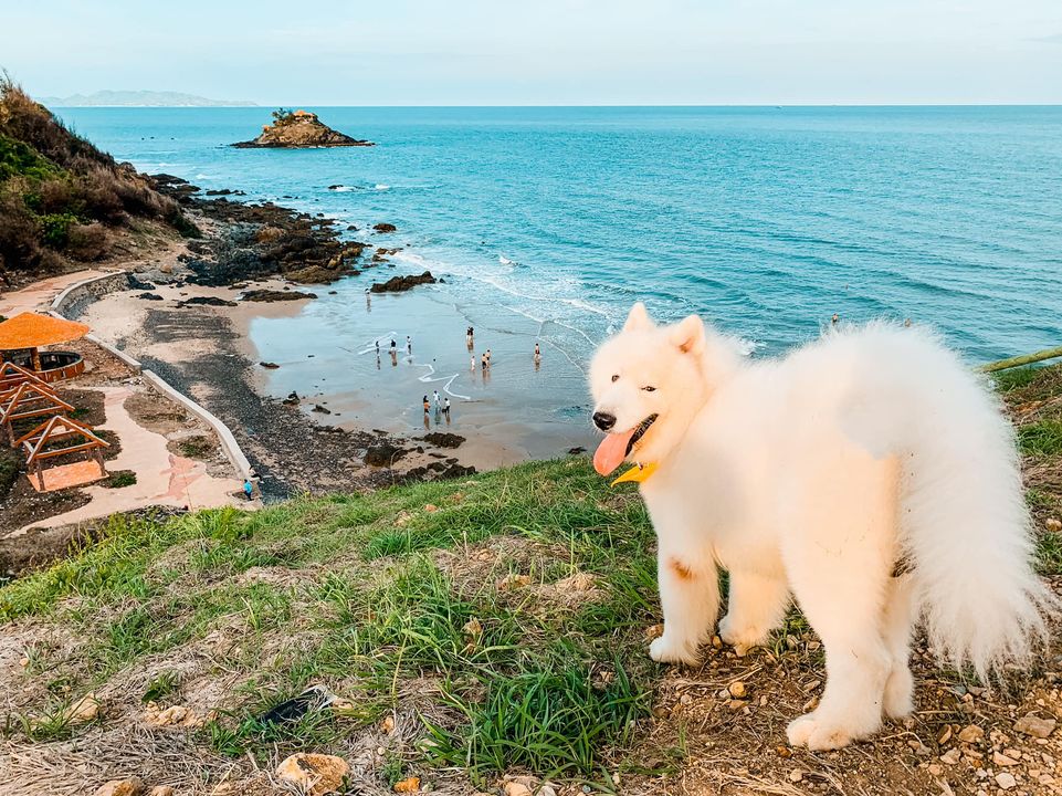 Hình ảnh: Cồ ơi lên xe