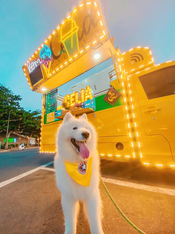 Hình ảnh: Cồ ơi lên xe