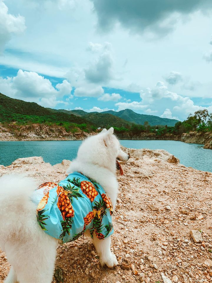 Hình ảnh: Cồ ơi lên xe