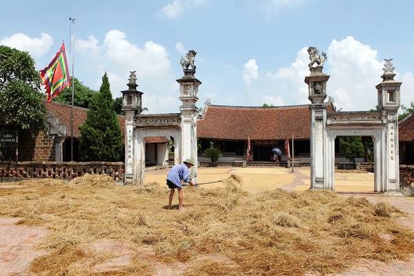 Khách du lịch làng cổ Đường Lâm check-in tại đình Mông Phụ mùa lúa chín