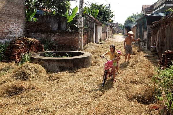 Đường làng trải rơm vàng óng khi du lịch làng cổ Đường Lâm