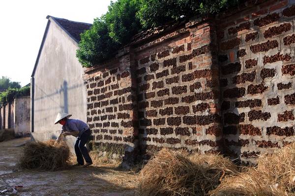 Vẻ đẹp mộc mạc của đá ong và rơm vàng tại Đường Lâm
