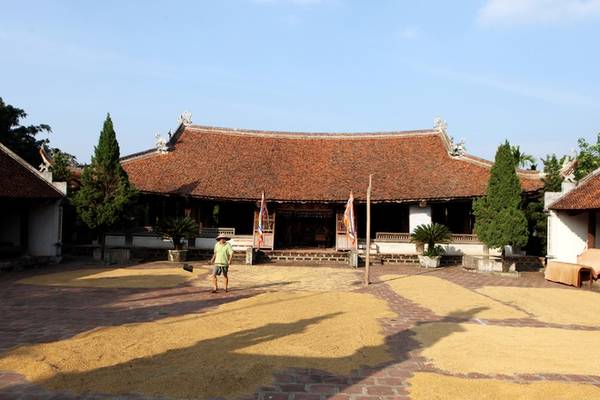 Khung cảnh ngày mùa tại sân đình Mông Phụ Đường Lâm