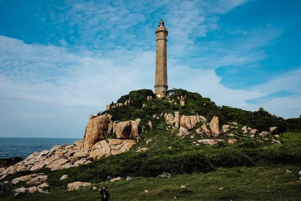 Men theo đường quay lại bến neo của cano, nhóm tìm thấy lối mòn dẫn ra bãi cỏ rộng lớn trên đảo. Từ đây, bọn mình có thể nhìn toàn cảnh ngọn hải đăng. Khu vực bãi cỏ cũng rất thích hợp cắm trại trên đảo.