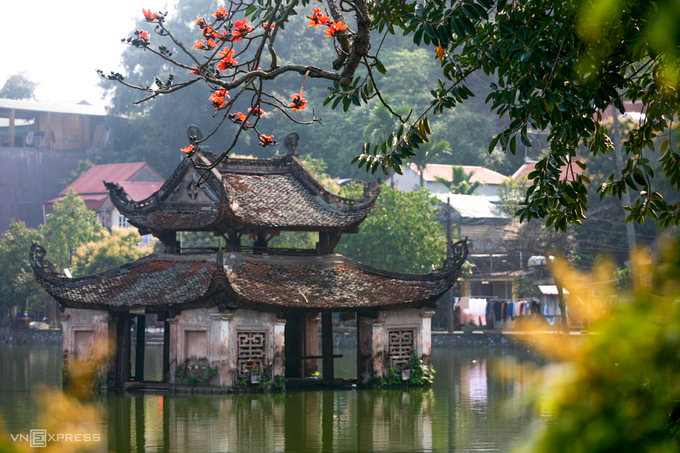 Hoa gạo chùa Thầy rủ xuống trước Thủy Đình