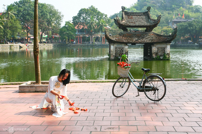 Mùa hoa gạo chùa Thầy thu hút du khách và nhiếp ảnh gia