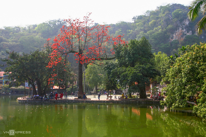 Những cây hoa gạo ở chùa Thầy (xã Sài Sơn, huyện Quốc Oai, Hà Nội) lại nở hoa, tô điểm cho không gian ngôi chùa cổ kính thêm đẹp hơn.
