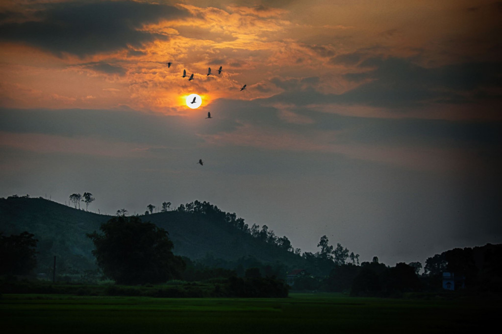Hoàng hôn ở rừng cò núi Hứa. Ảnh: Báo Quảng Ninh