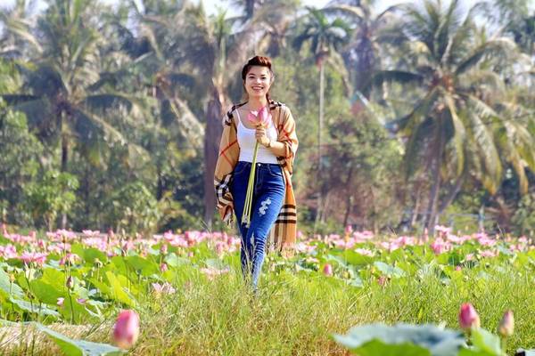Rừng Hoang Bảy Mẫu đồng sen mênh mông