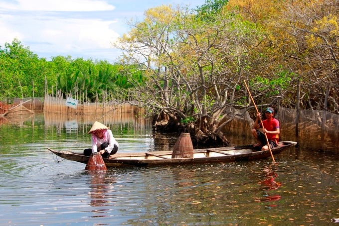 Người dân đánh bắt thủy sản tại rừng ngập mặn Rú Chá