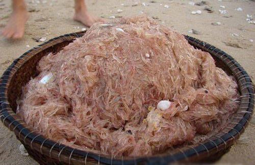 ruocthangsau đặc sản Quảng Bình dân dã mà ngon miệng