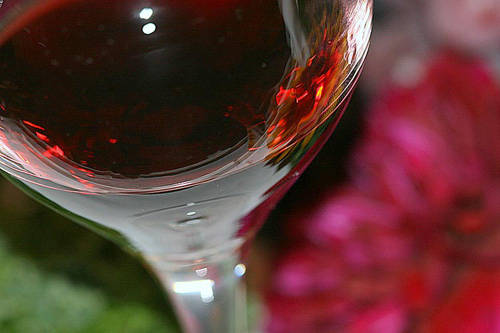 Vang đỏ thần dược tình yêu tại La Rioja Tây Ban Nha