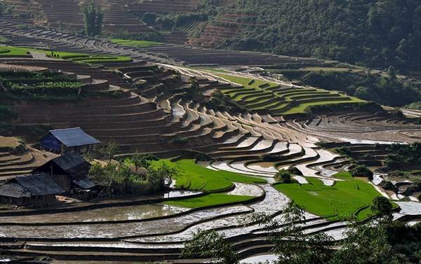 Vẻ đẹp ruộng bậc thang Tả Phìn tại Sa Pa.