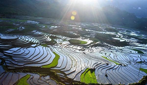 Ruộng bậc thang Sa Pa kỳ vĩ mùa nước đổ.