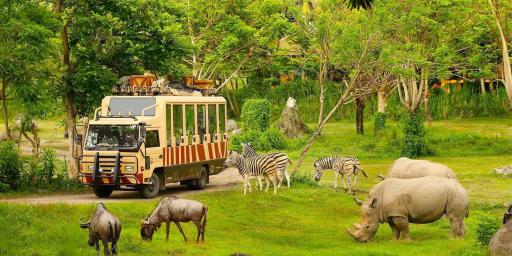 Safari Vinpearl Phú Quốc.