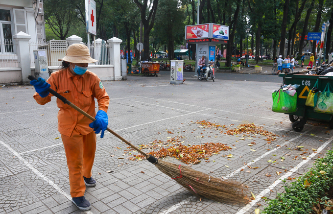 Công nhân dọn dẹp quả sao đen