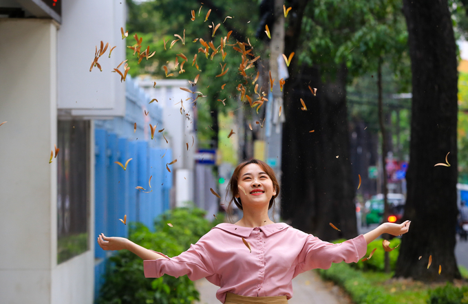 "Em đi uống trà sữa với bạn tình cờ thấy hai bên đường quá trời loại quả này luôn, thích nhất là hai cánh dài khi tung nên nó bay bay xoay tít nhìn rất vui mắt", Châu Trần Bảo Trâm (ĐH Tôn Đức Thắng) chia sẻ.