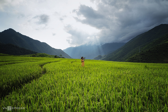 Mây phủ trên ruộng bậc thang Tây Bắc mùa xuân