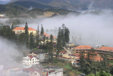 sapa