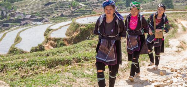 Những thửa ruộng bậc thang đẹp mắt dọc hai bên lối đi khi du lịch Sapa