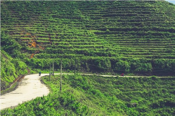 Nông sản địa phương được bày bán ở chợ phiên Bắc Hà