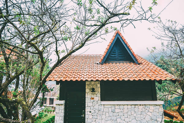 Ảnh: Jade Hill