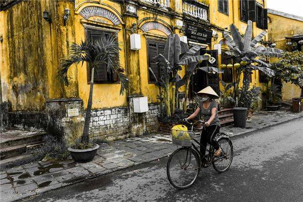 Những ngôi nhà ở Hội An tuy không hiện đại, cao sang nhưng lại mang vẻ quyến rũ rất riêng đối với du khách