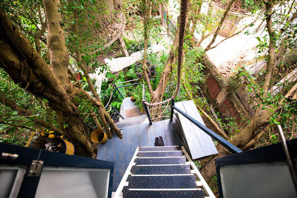Nhà trên cây Tree House Hà Nội Nhà trên cây Tree House Hà Nội