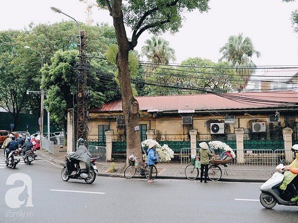 Thời tiết đúng hẹn đến lạ kỳ, đêm mùng 1 tháng 10 âm lịch vừa qua, mùa đông đã đến. Gánh hàng hoa đầu tháng vẫn tươi tắn trong mưa rét.