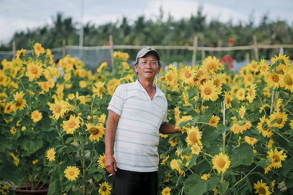 Ông Hà Văn Vũ - chủ nhân vườn hướng dương Đà Nẵng.