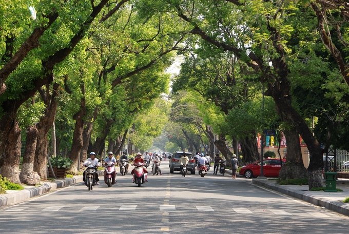 Không gian xanh mát của thành phố Huế
