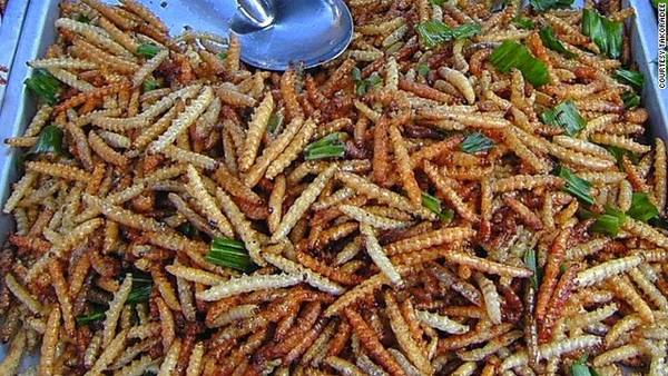 sau-tre Những món ăn côn trùng nổi tiếng thế giới
