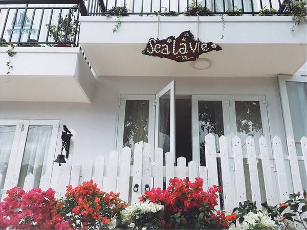 sea-la-vie-homestay-moi-xinh-den-phat-hon-o-vung-tau-ivivu-1-1 Sea-la-vie-homestay-moi-xinh-den-phat-hon-o-vung-tau-ivivu-1