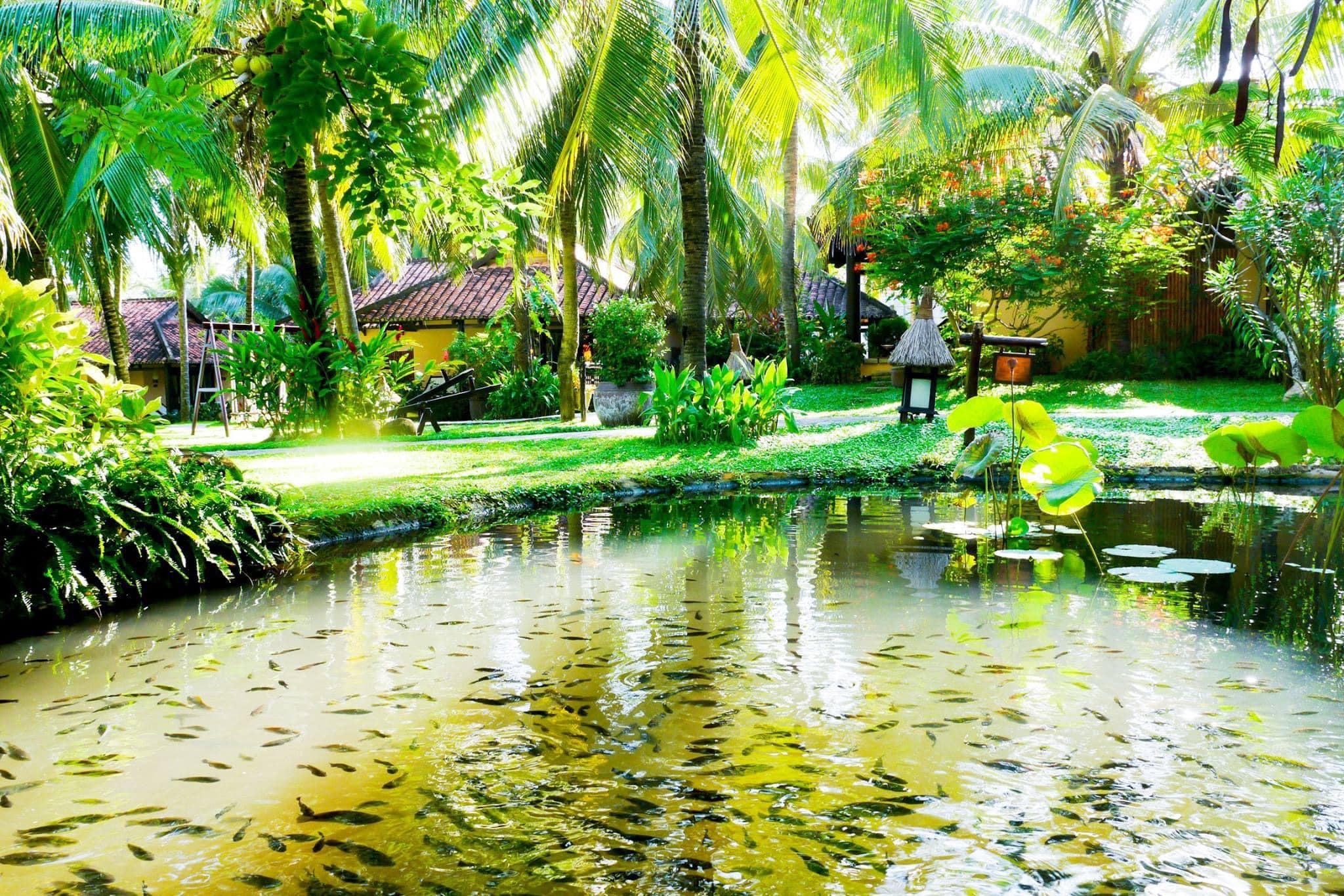 seahorse-resort-spa-phan-thie1babft-ivivu-21-1 Seahorse- Resort - Spa -Phan- Thiết -ivivu-21