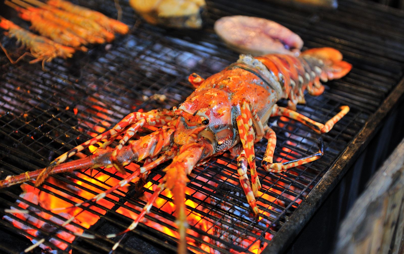 Nhà hàng Hippocampe tại Seahorse Resort Phan Thiết