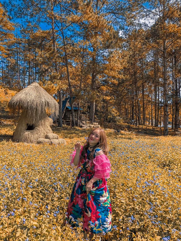 Không gian lãng mạn Secret Garden SG Newland