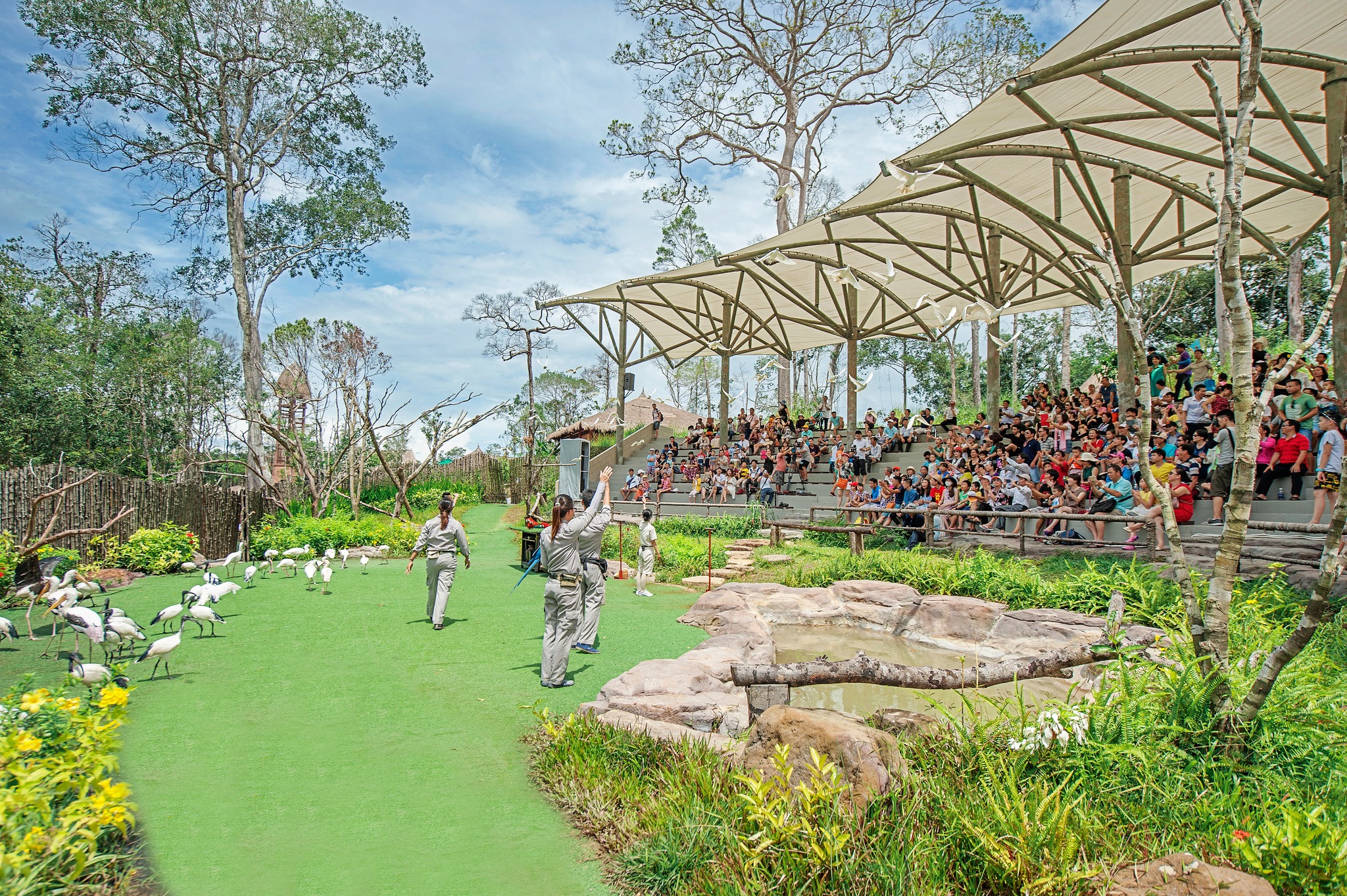 Biểu diễn động vật - show diễn Phú Quốc tại Vinpearl Safari