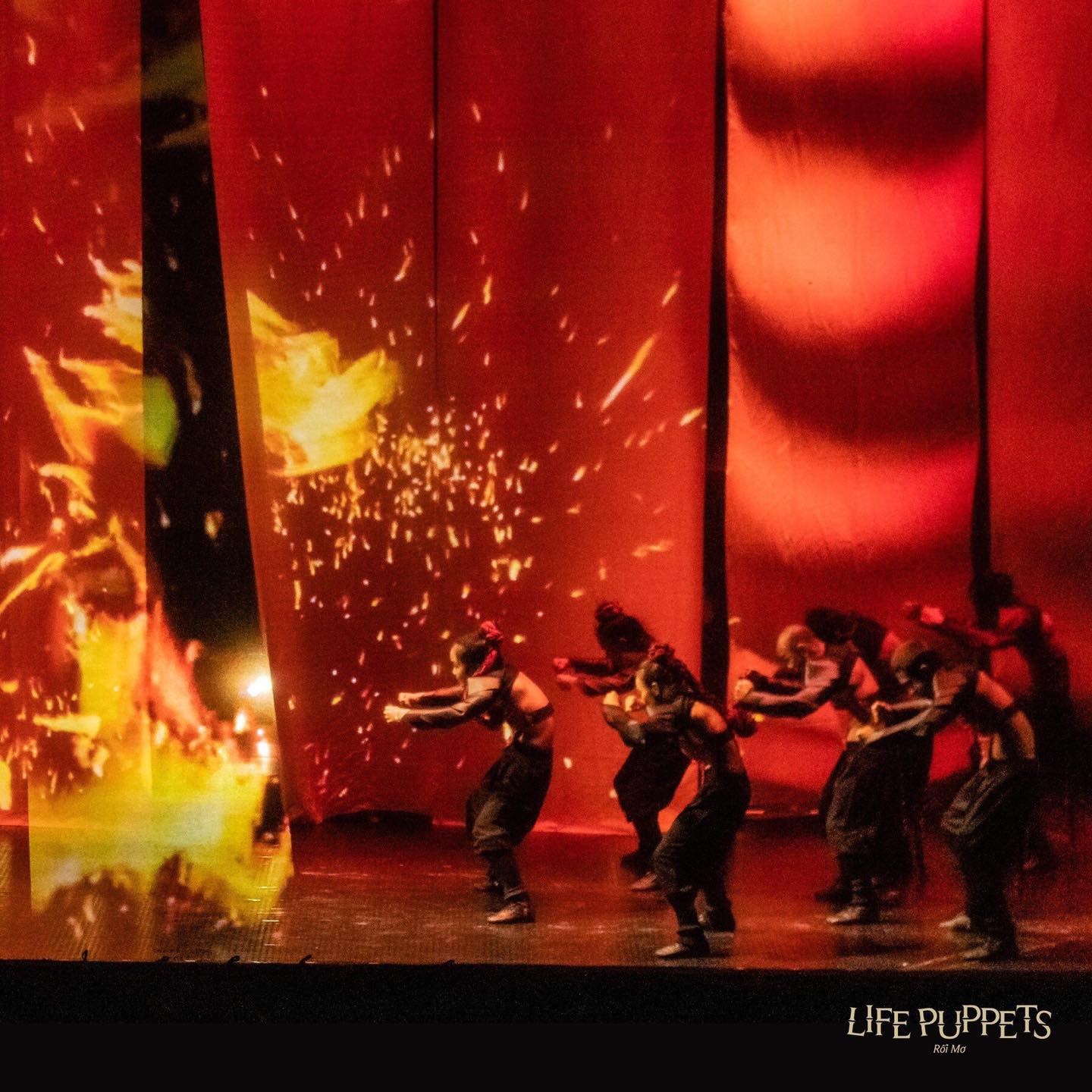 show-roi-mo-ivivu-14