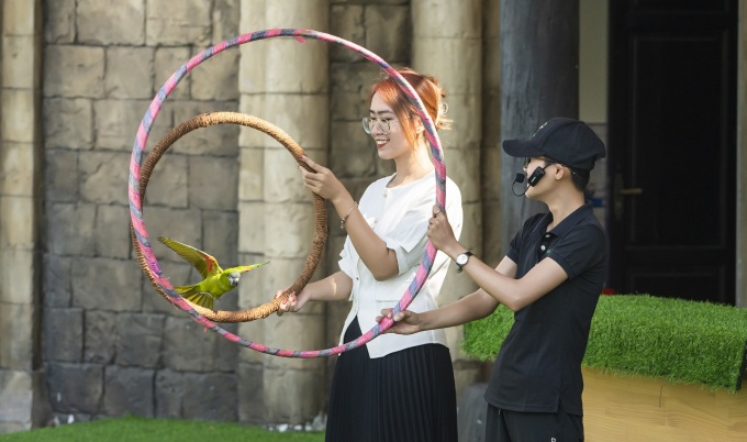 Show Vũ điệu chim trời tại Sun World Hạ Long