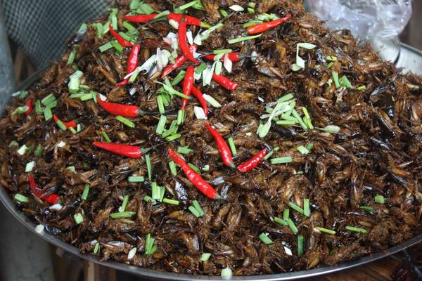 Dế chiên tẩm ớt món ngon Siem Reap thử thách