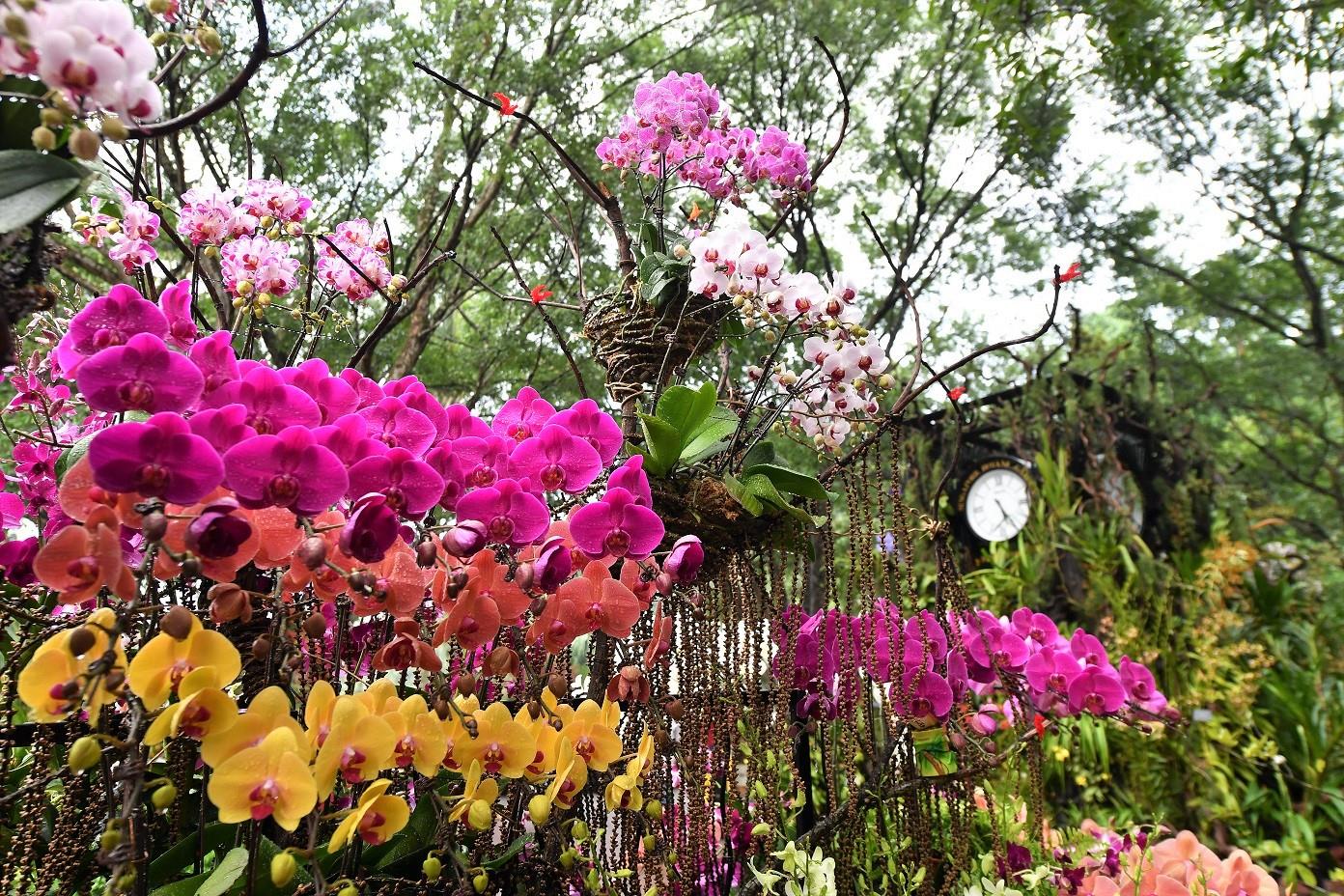 Vườn Bách thảo Singapore Garden Festival