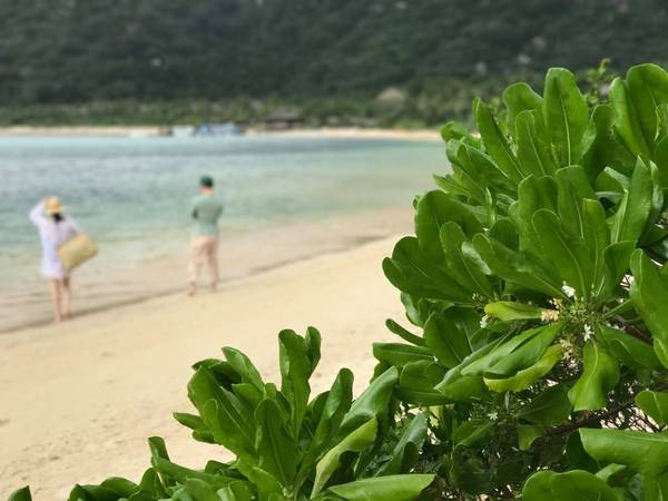 Trải nghiệm chèo thuyền kayak khám phá vịnh Ninh Vân