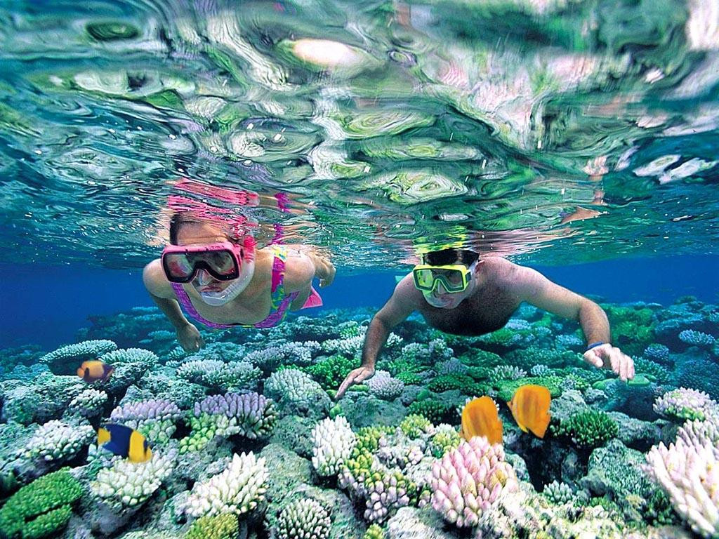 Snorkeling vui chơi dưới nước Nha Trang